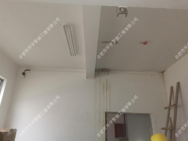 1733111996543405.png 圖片 5.png