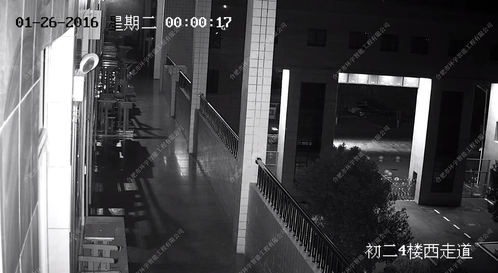 1733295343812999.png 圖片 10.png